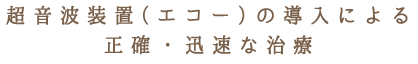 超音波装置（エコー）の導入による正確・迅速な治療